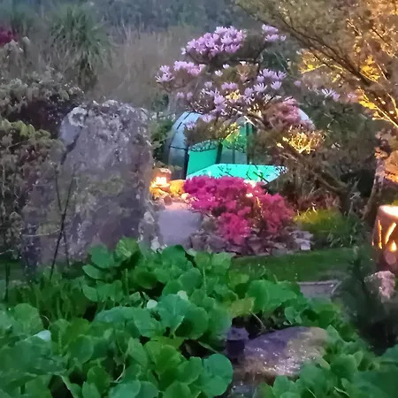 Le Du Goaquer